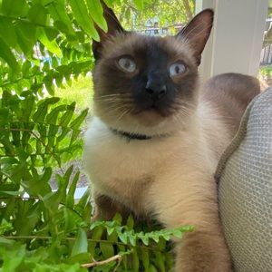 Meet your Posher, Karen